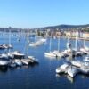 Бра Newport: как выбрать настенный светильник, который изменит интерьер
